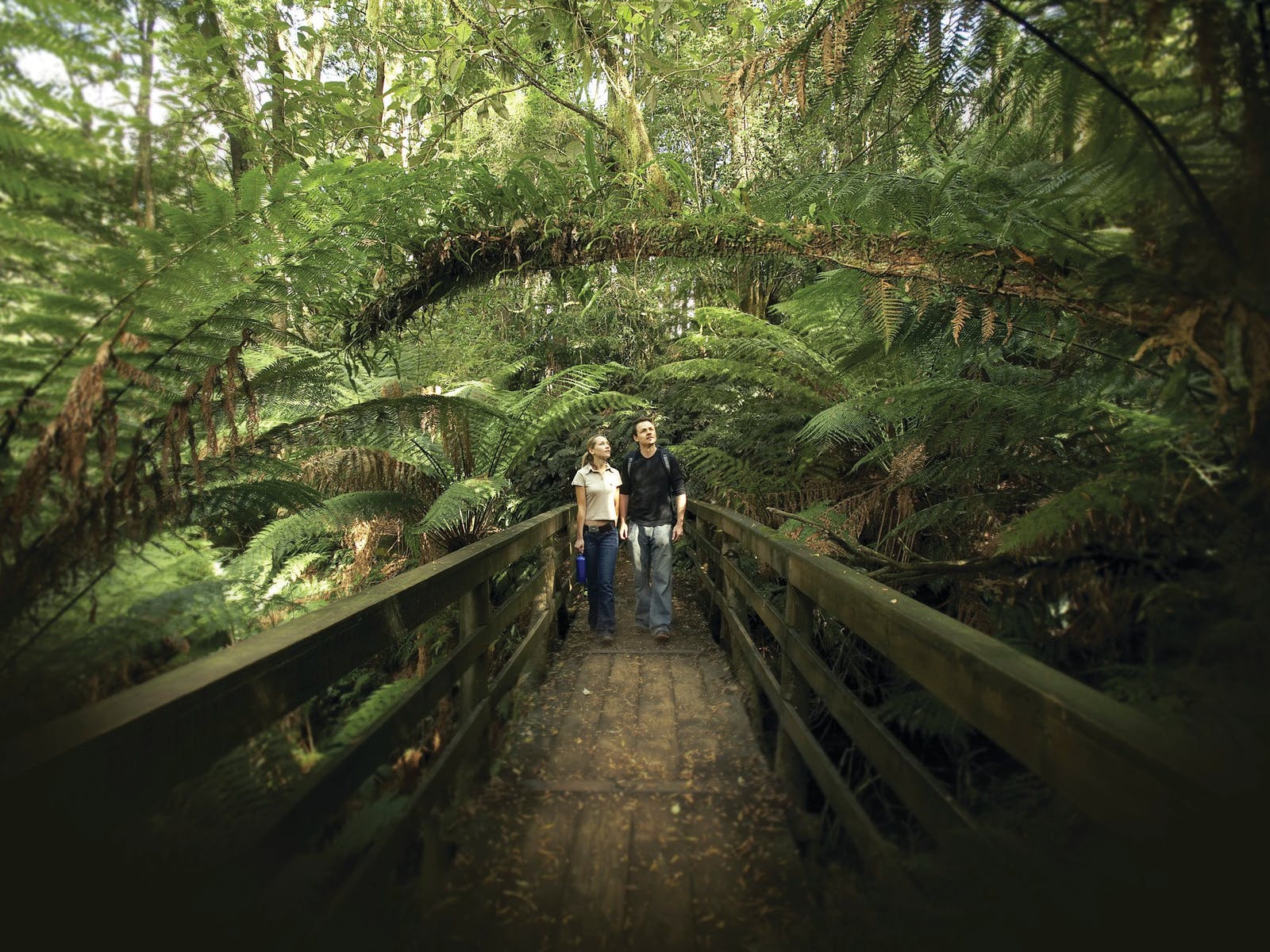 Great Otway National Park