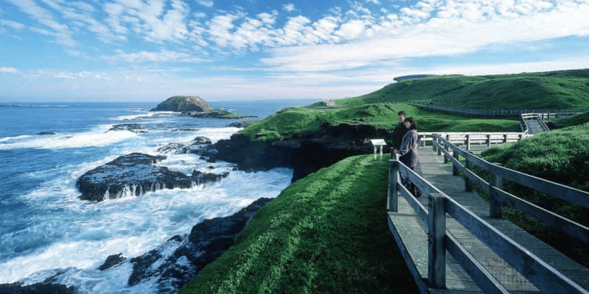 Phillip Island Penguin Parade and Wildlife Fun Tour