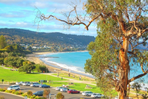 Seaside Towns Lorne and Apollo Bay